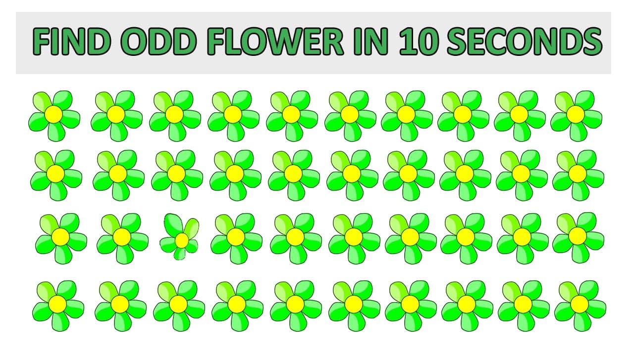 Flower Puzzle