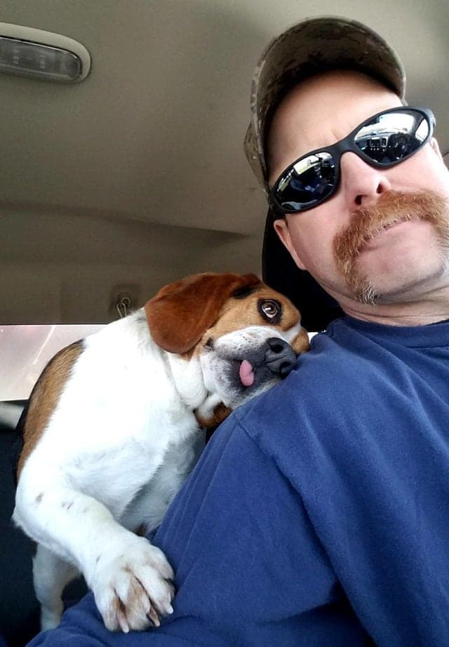 Gregory beagle