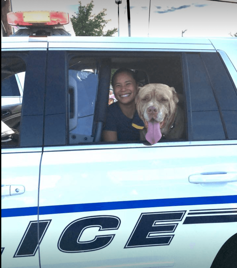 JD Police dog