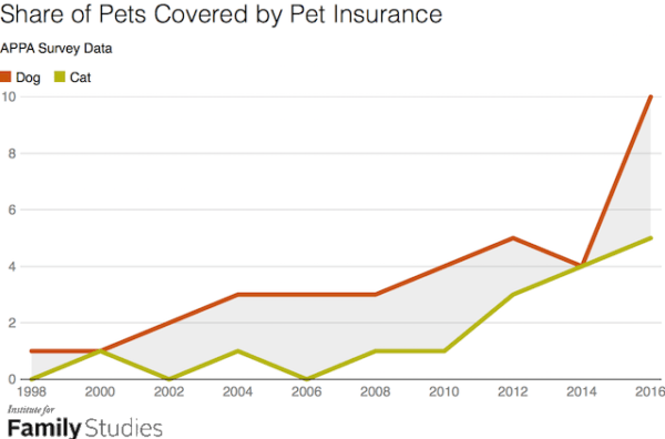Pet ownership