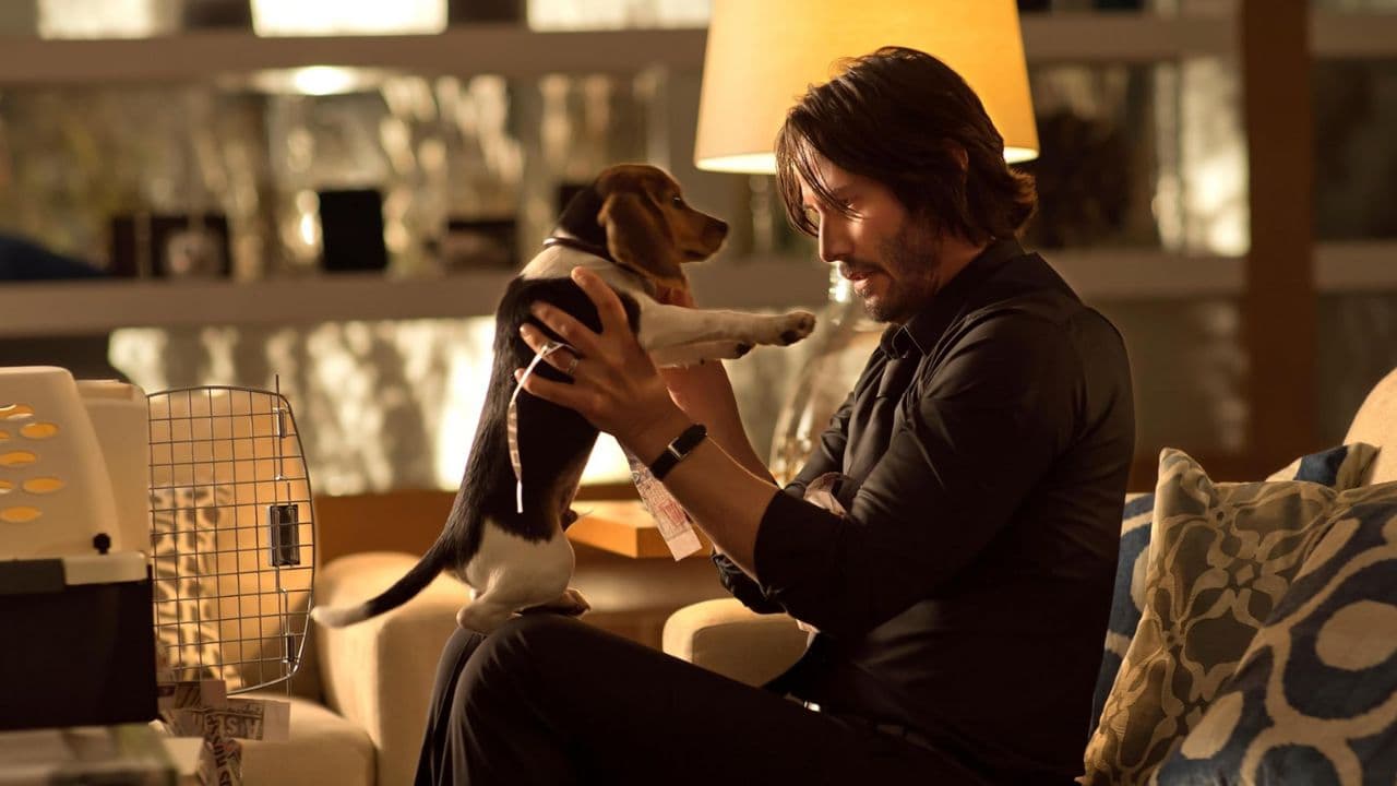 John Wick Summit Entertainment