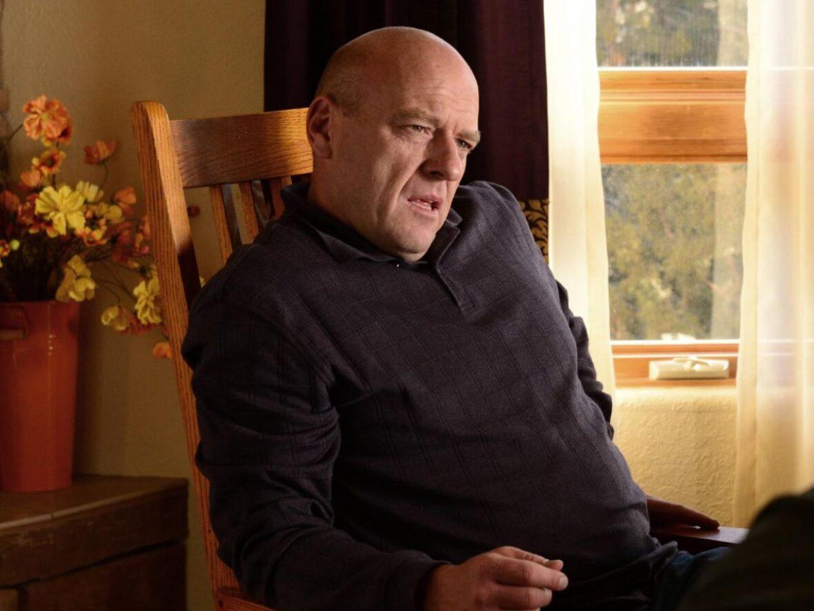 Schrader Breaking Bad Netflix