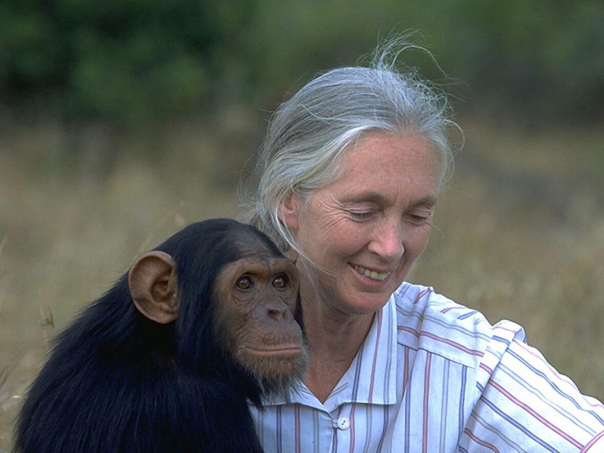 Jane Goodall Google Commons