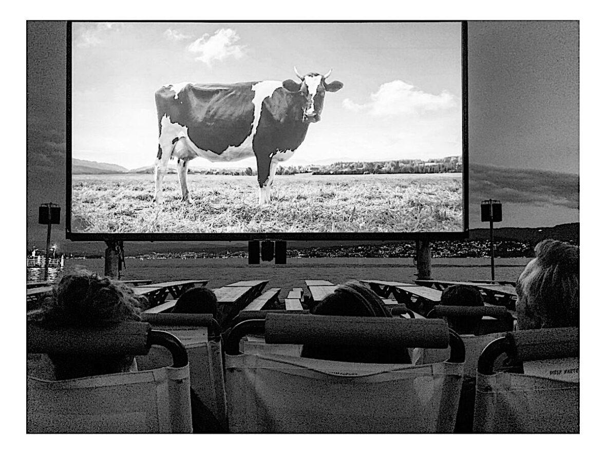 Drive in theater