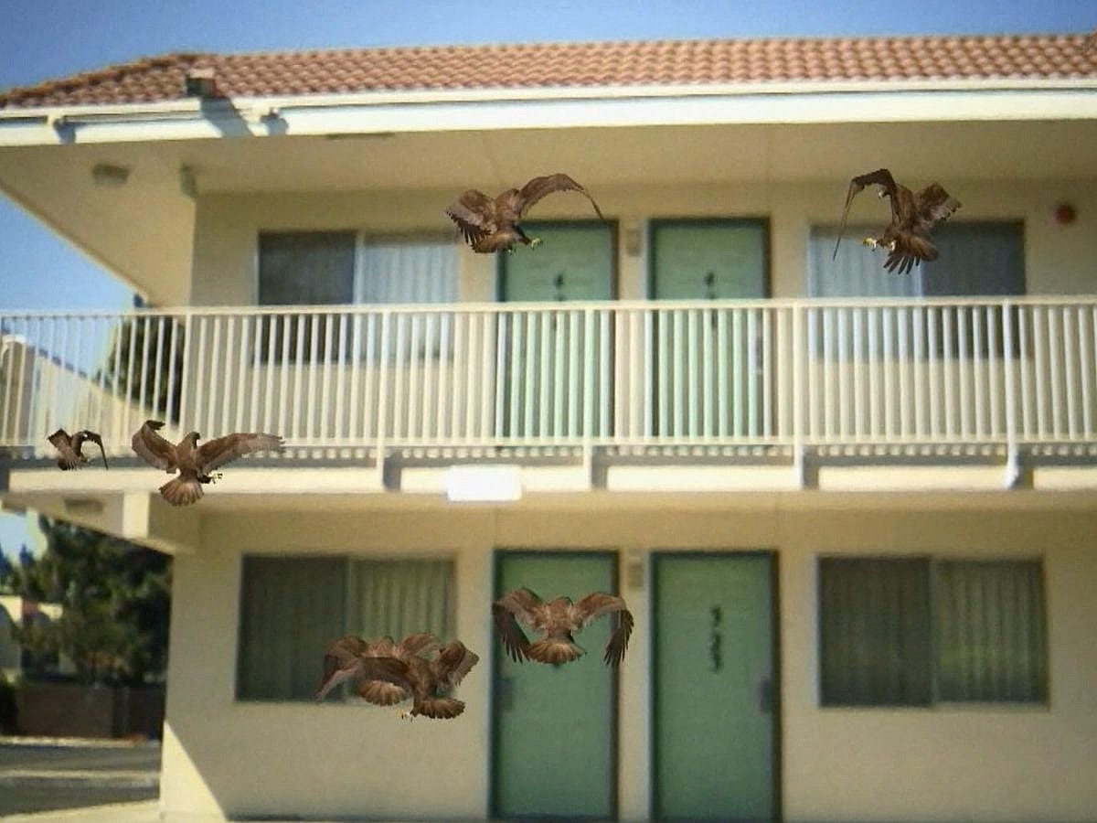 Birdemic Severin Films