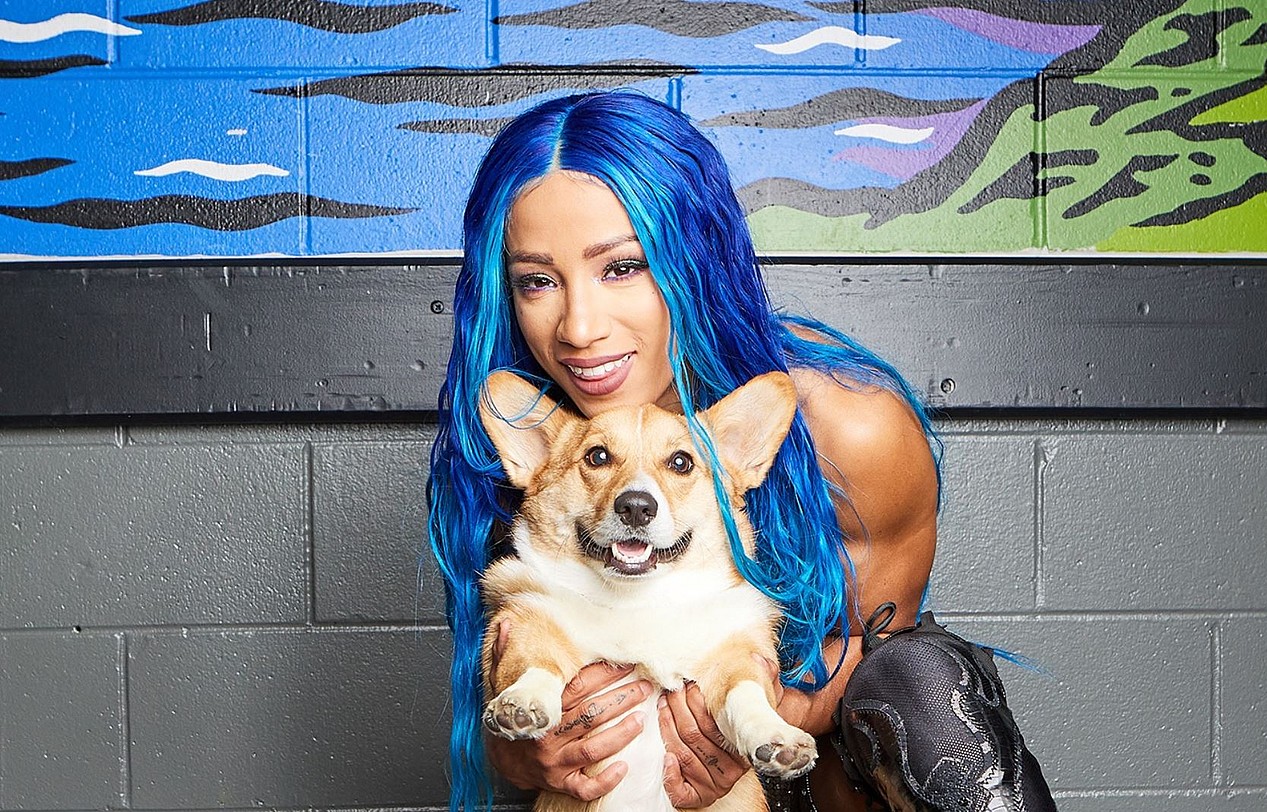 sasha banks injury update