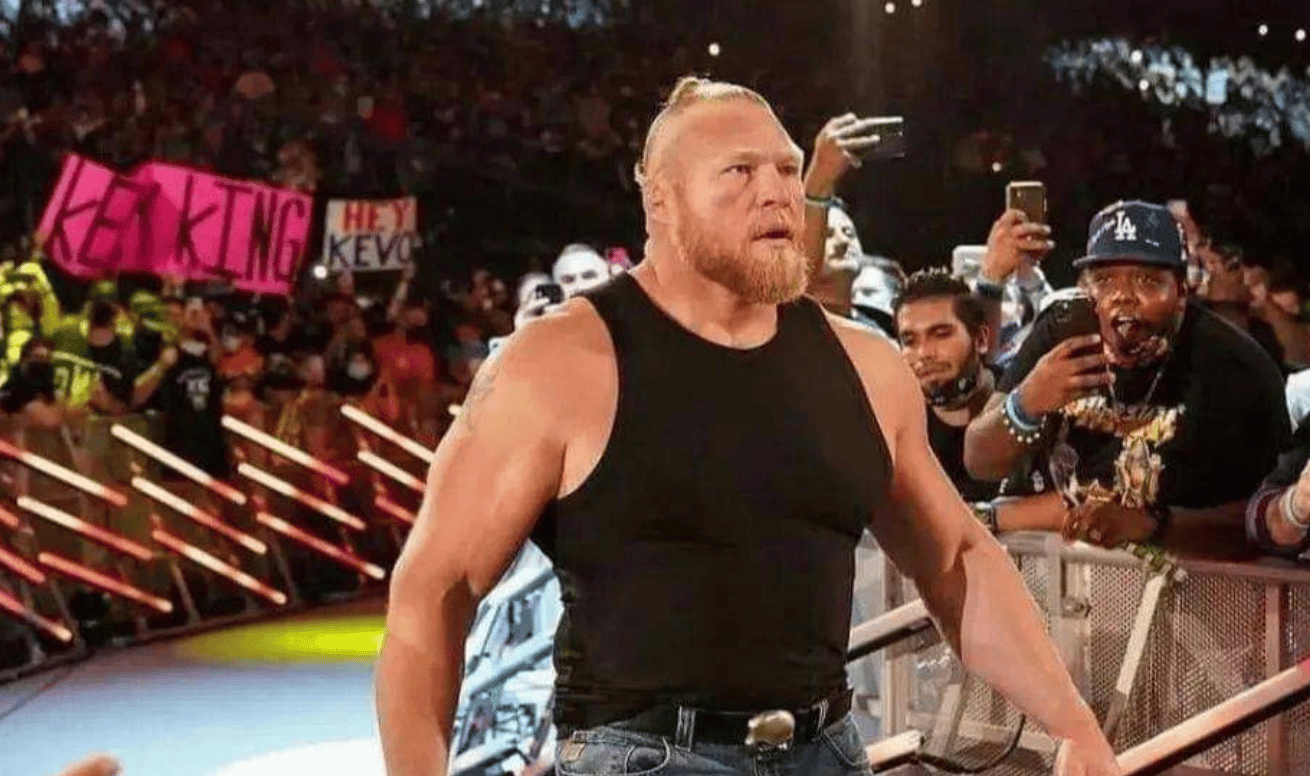 width-100 brock lesnar not wrestling