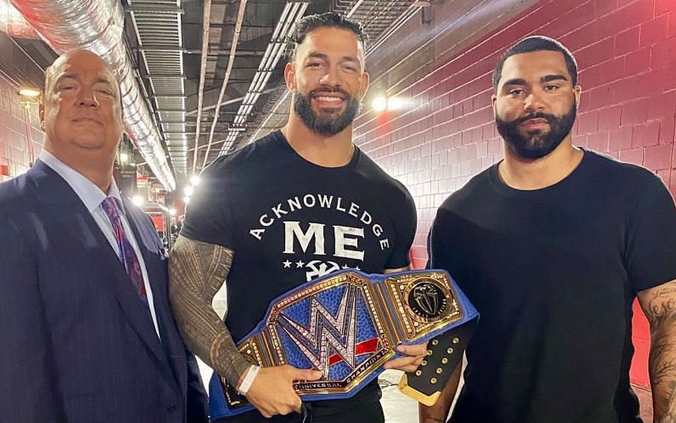 gable steveson wwe ufc