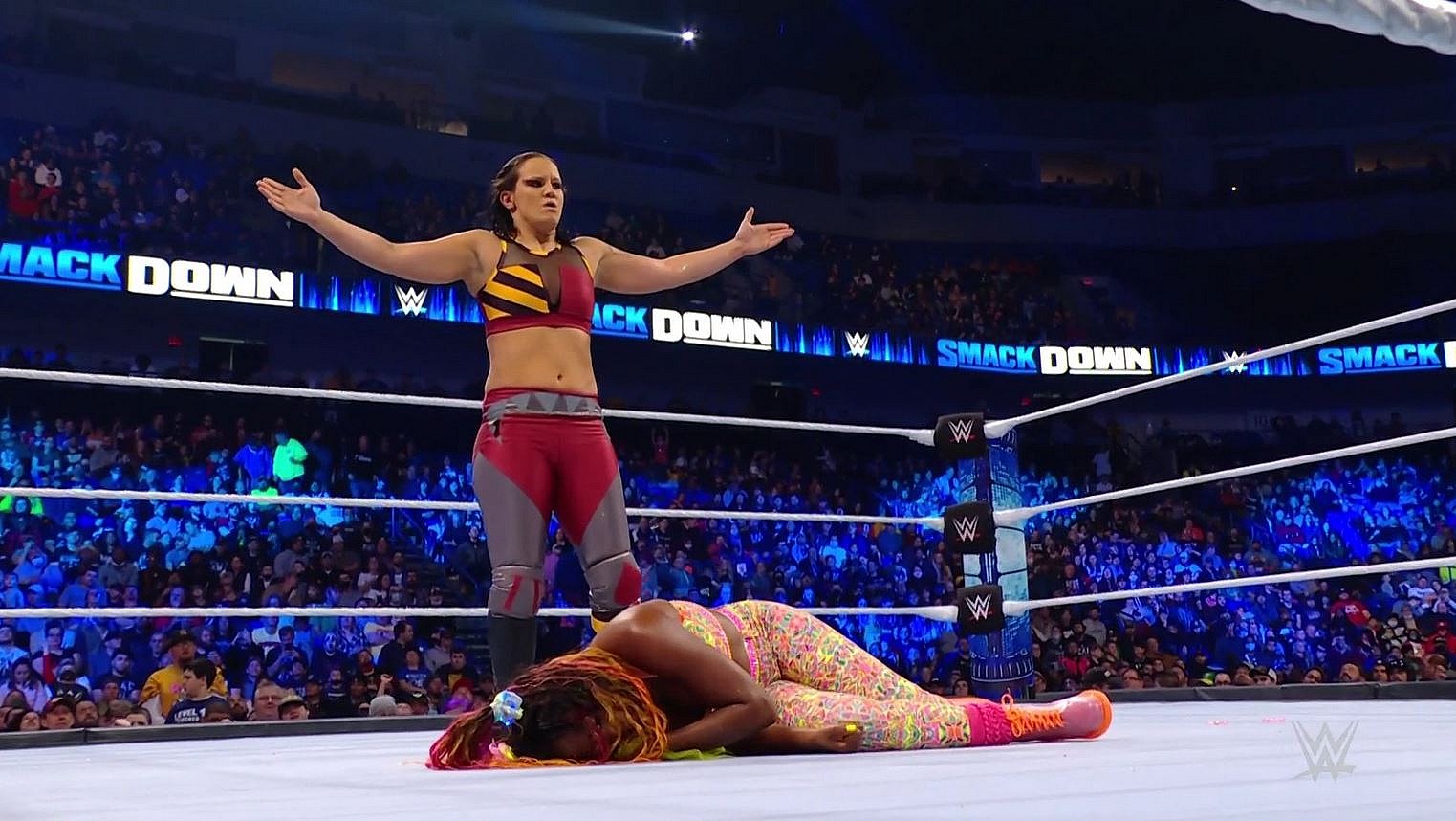 smackdown in a nutshell