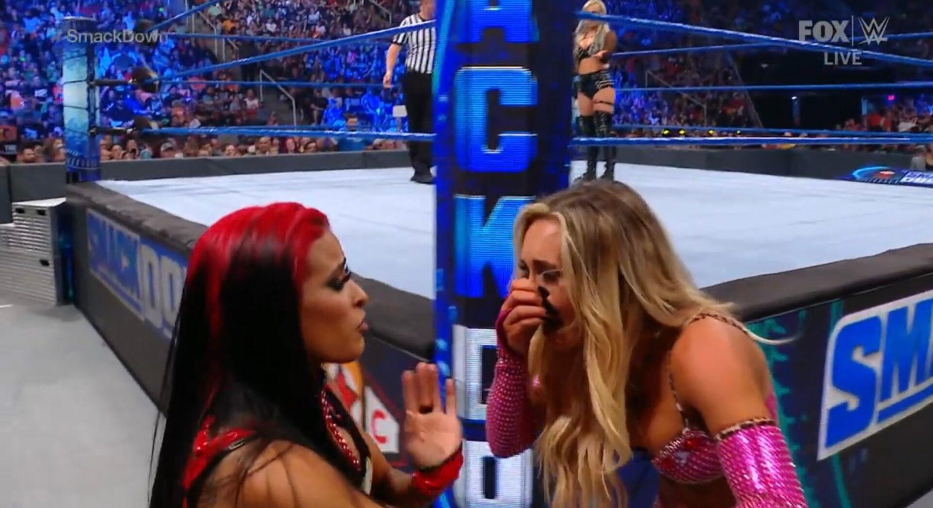 smackdown in a nutshell