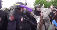 liberal protestor
