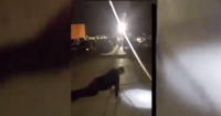 Push-Ups