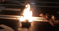 anti-Trump Protestor