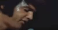 Elvis