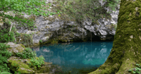 pond