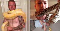 Python kills owner