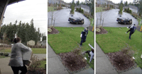 Package thief