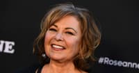 roseanne barr new sitcom