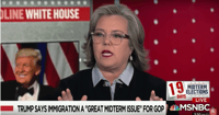 rosie odonnell donald trump martial law
