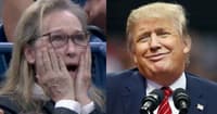meryl streep donald trump children