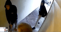 armed robbers homeowner