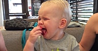 cranberries, toddler,