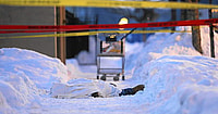 Chicago Homicdes