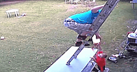 Ladder Fail