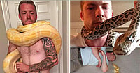 Python kills owner