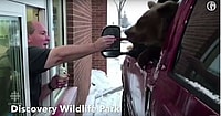 zoo charges bear ice cream
