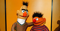 bert and ernie gay
