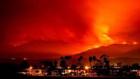 Whittier Wildfire