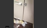 Saudi Plane