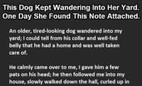 joke, dog, neighbor, nap