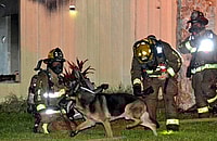 dog saves children, firefighters