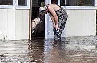 dog rescue flood
