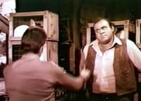 Bonanza