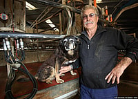 Maggie McLaren, World’s oldest dog
