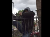 criminal stuck on fence