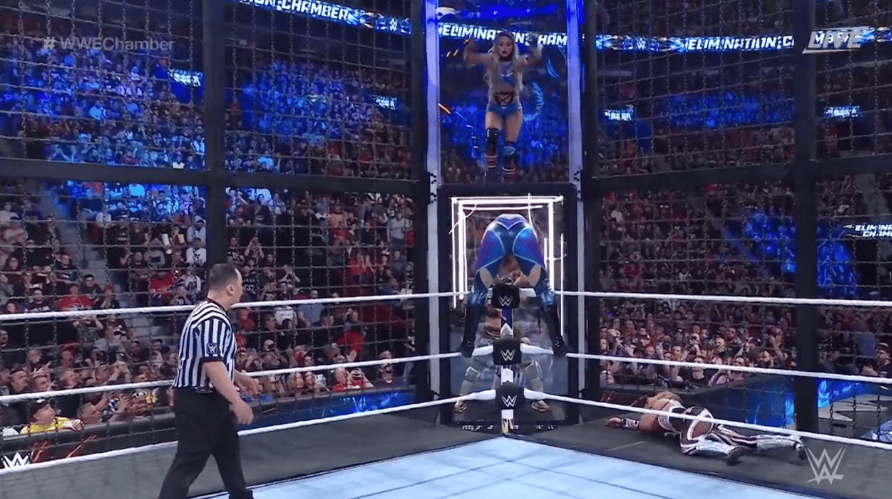 Elimination Chamber Report Card