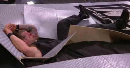 wwe panned blood & guts