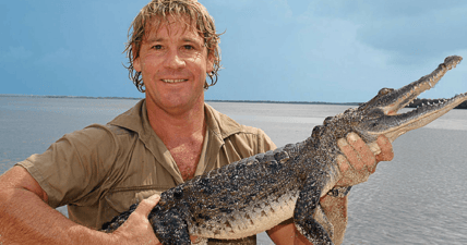 Steve Irwin Hollywood Star