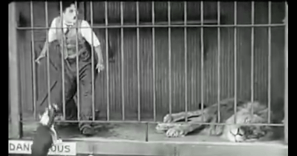 Charlie Chaplin lion