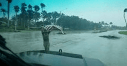 Hurricane Irma American flag