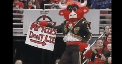 Benny the Bull