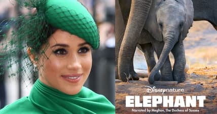Meghan Markle Disney