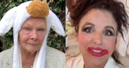 Celebrities like Judi Dench and Julia Louis-Dreyfus go crazy in quarantine
