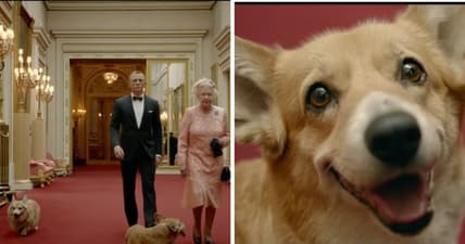 Queen Elizabeth dogs
