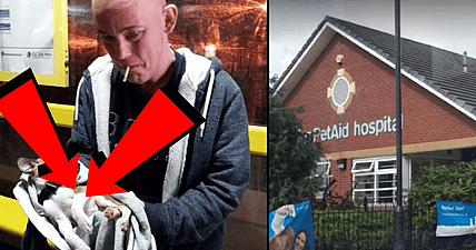 puppy died in dads arms