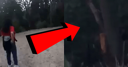 woman sues california bigfoot